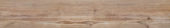 Autumn Forest 5.5X33F |  Carpet Barn Carpet One Inc.