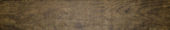 Autumn Forest 5.5X33F |  Carpet Barn Carpet One Inc.