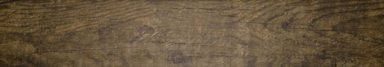 Autumn Forest 5.5X33F |  Carpet Barn Carpet One Inc.