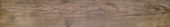 Autumn Forest 5.5X33F |  Carpet Barn Carpet One Inc.