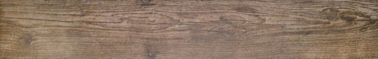 Autumn Forest 5.5X33F |  Carpet Barn Carpet One Inc.
