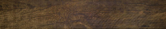 Autumn Forest 5.5X33F |  Carpet Barn Carpet One Inc.