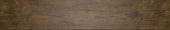 Autumn Forest 5.5X33F |  Carpet Barn Carpet One Inc.