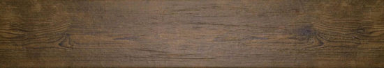 Autumn Forest 5.5X33F |  Carpet Barn Carpet One Inc.
