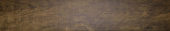 Autumn Forest 5.5X33F |  Carpet Barn Carpet One Inc.