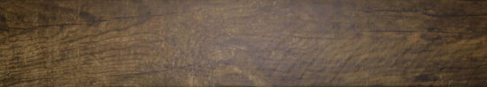 Autumn Forest 5.5X33F |  Carpet Barn Carpet One Inc.