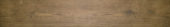 Autumn Forest 5.5X33F |  Carpet Barn Carpet One Inc.