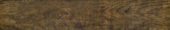 Autumn Forest 5.5X33F |  Carpet Barn Carpet One Inc.