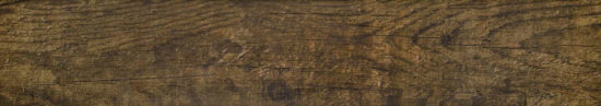 Autumn Forest 5.5X33F |  Carpet Barn Carpet One Inc.