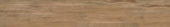 Autumn Forest 5.5X33F |  Carpet Barn Carpet One Inc.