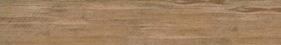 Autumn Forest 5.5X33F |  Carpet Barn Carpet One Inc.