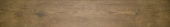 Autumn Forest 5.5X33F |  Carpet Barn Carpet One Inc.