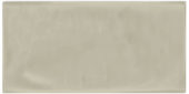 Autumn Tan 3X6 Glossy |  Carpet Barn Carpet One Inc.