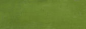 Barcelona 2x6" Olive |  Carpet Barn Carpet One Inc.