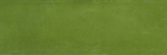Barcelona 2x6" Olive |  Carpet Barn Carpet One Inc.