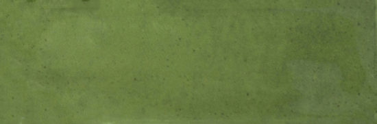 Barcelona 2x6" Olive |  Carpet Barn Carpet One Inc.