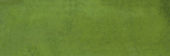 Barcelona 2x6" Olive |  Carpet Barn Carpet One Inc.