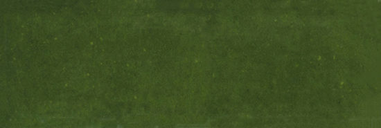 Barcelona 2x6" Olive |  Carpet Barn Carpet One Inc.