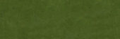 Barcelona 2x6" Olive |  Carpet Barn Carpet One Inc.