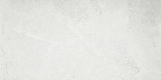 Bianco 12X24 |  Carpet Barn Carpet One Inc.
