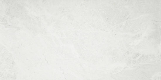 Bianco 12X24 |  Carpet Barn Carpet One Inc.