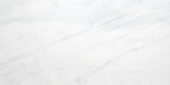 Bianco Venatino Honed 12X24 |  Carpet Barn Carpet One Inc.