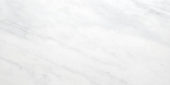Bianco Venatino Honed 12X24 |  Carpet Barn Carpet One Inc.