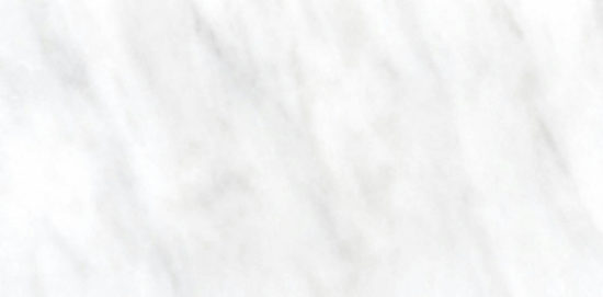 Bianco Venatino Polish 3X6 |  Carpet Barn Carpet One Inc.