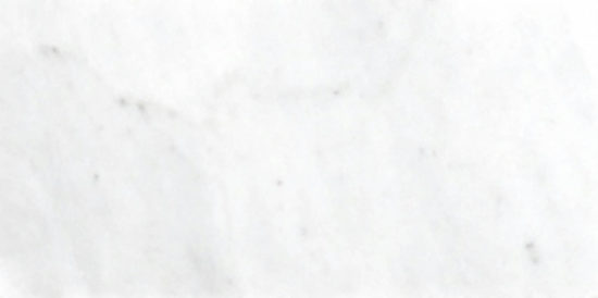 Bianco Venatino Polish 3X6 |  Carpet Barn Carpet One Inc.
