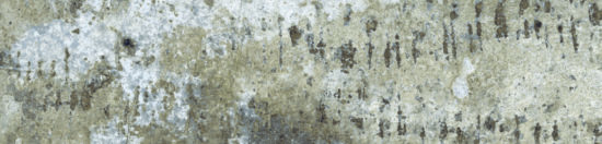 Brix 2x10 Mud |  Carpet Barn Carpet One Inc.