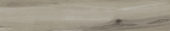 Champlain Grey 6X36 |  Carpet Barn Carpet One Inc.