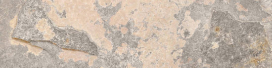 Chitwan Gris 3X12 Bullnose |  Carpet Barn Carpet One Inc.