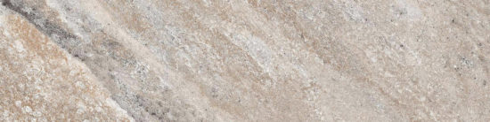Chitwan Gris 4X12 |  Carpet Barn Carpet One Inc.