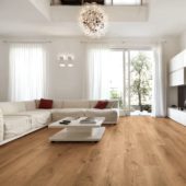 Cognac Oak |  Carpet Barn Carpet One Inc.