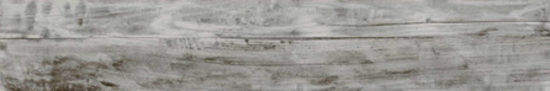 Cold 8X47 |  Carpet Barn Carpet One Inc.