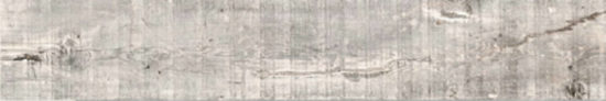 Cold 8X47 |  Carpet Barn Carpet One Inc.
