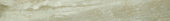 Congo 3X24 Sb |  Carpet Barn Carpet One Inc.