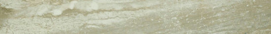 Congo 3X24 Sb |  Carpet Barn Carpet One Inc.