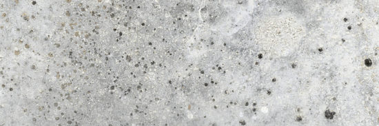 Cordoba 3x9" Cordoba |  Carpet Barn Carpet One Inc.