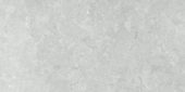 Denver 12X24F Platinum Matte |  Carpet Barn Carpet One Inc.