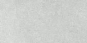 Denver 12X24F Platinum Matte |  Carpet Barn Carpet One Inc.