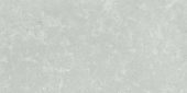 Denver 12X24F Platinum Matte |  Carpet Barn Carpet One Inc.