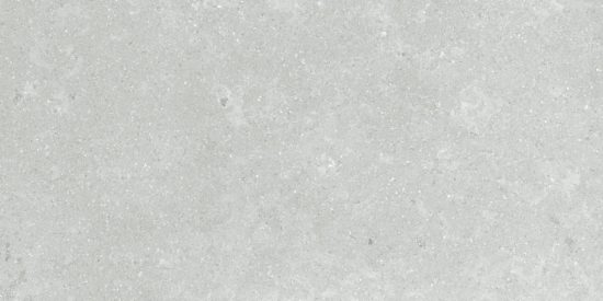 Denver 12X24F Platinum Matte |  Carpet Barn Carpet One Inc.