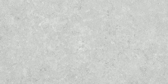 Denver 12X24F Platinum Matte |  Carpet Barn Carpet One Inc.