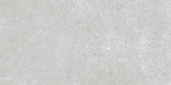 Denver 12X24F Platinum Matte |  Carpet Barn Carpet One Inc.