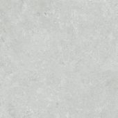 Denver 20X20F Platinum Matte |  Carpet Barn Carpet One Inc.
