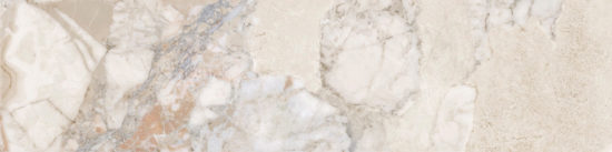 Dynasty Almond 3X12 Bullnose |  Carpet Barn Carpet One Inc.