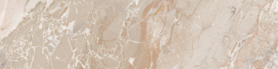 Dynasty Almond 3X12 Bullnose |  Carpet Barn Carpet One Inc.