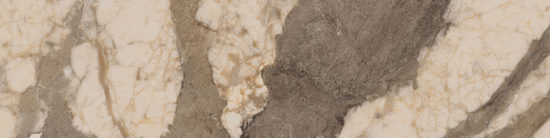 Dynasty Taupe 3X12 Bullnose |  Carpet Barn Carpet One Inc.