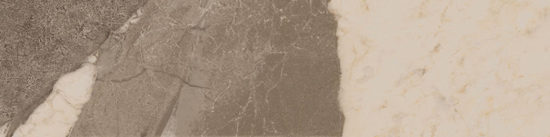 Dynasty Taupe 3X12 Bullnose |  Carpet Barn Carpet One Inc.